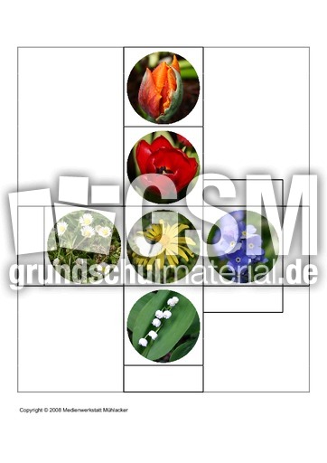 Würfelgutschein-Blume-2.pdf